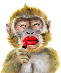 Monkey and red lipstick. Hand drawn watercolor - 233546471