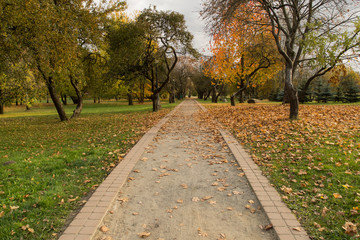 Autumn Park