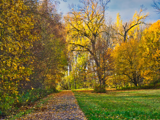 Herbstlandschaft 