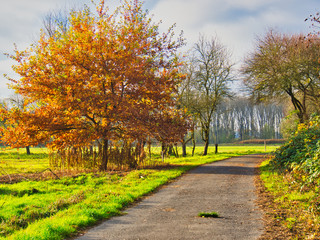 Herbstlandschaft 