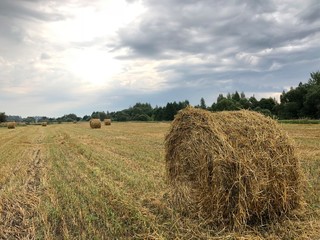 Haystack on the slanted field in the fresh morning