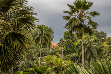 Botanic Garden singapore