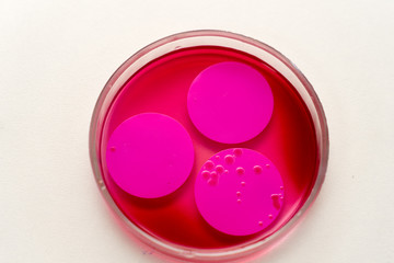 Petri dish