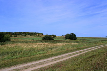 Obraz premium Ostsee, Strand, Urlaub, Erholung, Natur, Küste