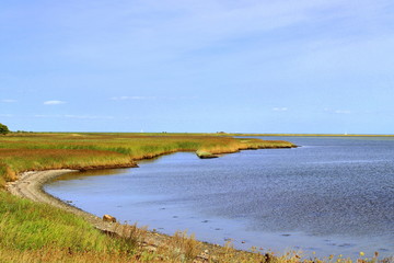 Ostsee, Strand, Urlaub, Erholung, Natur, Küste