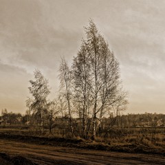 Томилино. Радио-поле