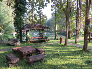 Garden in the forest with a lake