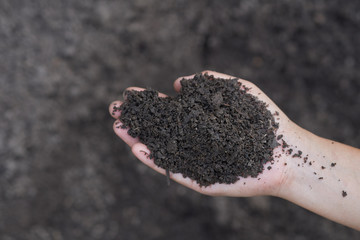 Close up soil in hand