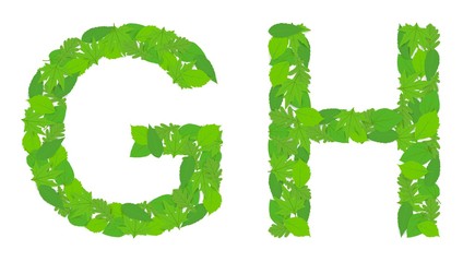 Illustration of the letters G and H alphabet, green spring-summer, design, design.