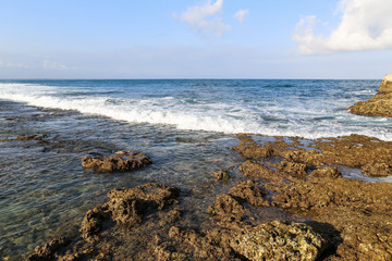 sea coastline on an exotic tropical island