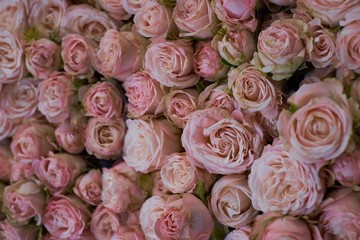 Background image of pink roses many small flowers in a bouquet