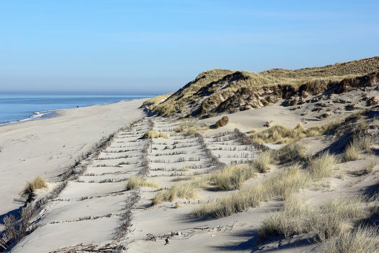 Dunes protection on the island of Sylt