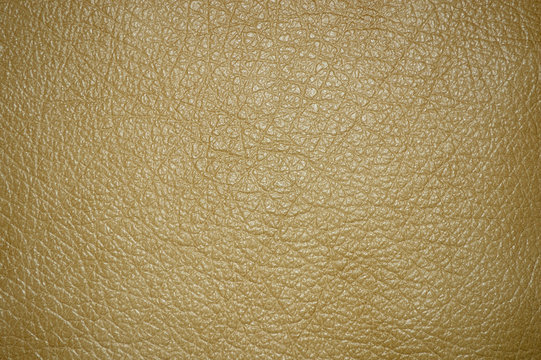 White beautiful leather texture as backgroundin