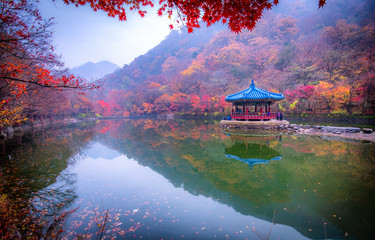 autumn at naejangsan mountain South Korea