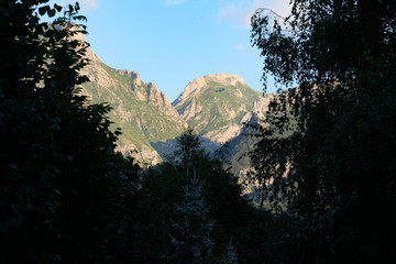 Fototapete bei efototapeten.de bestellen   