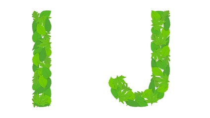 Illustration of the letters I and J alphabet, green spring-summer, design, design.