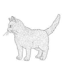 Cat coloring book page. Decorative doodle kitten isolated on white.