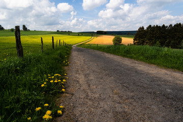 Fototapeta na wymiar road in the countryside in Belgium