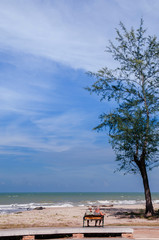 Songkhla, Thailand - Tourist couple sit on bench at Samila Beach in summer