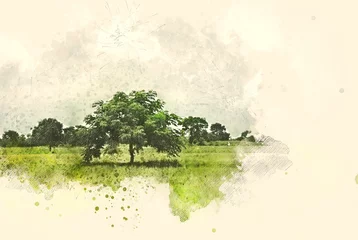 Abstrakte Baum- und Feldlandschaft auf Aquarellillustrations-Malereihintergrund. © Watercolor_Concept