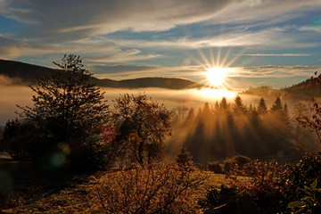 Lever de soleil sur la brume des Vosges