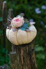 Kleines Blumenarrangement auf Zierkürbis auf dem Gartenzaun