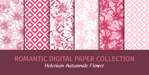 Wrapping or Wedding Digital Papers Collection. Romantic Pink Flowers Seamless Patterns for Valentines Day Holiday Decoupage. Vector Feminine Floral Wallpapers with Helenium Autumnale Flower - obrazy, fototapety, plakaty