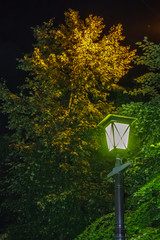 Street lights shining at the dark time