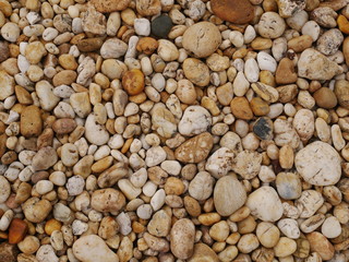 vintage concrete floor texture background,dirty cement wall