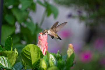 Naklejka premium It's a Long Way to the Bottom