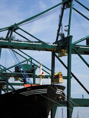 Fototapeta premium Next container