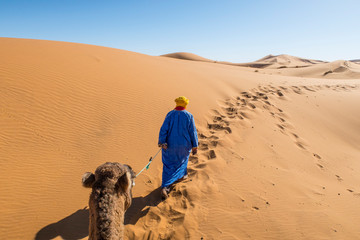 Berber nomad with a camel in Sahara desert, Morocco - obrazy, fototapety, plakaty