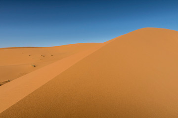 Fototapeta na wymiar Sand dunes in Sahara desert, Morocco