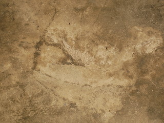 old cement wall background