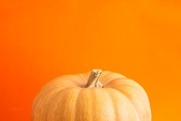 pumpkin on colorful background
