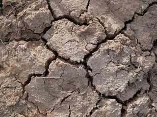 dry cracked earth