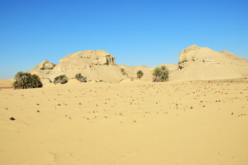Landscape of the Western desert Sahara, Egypt