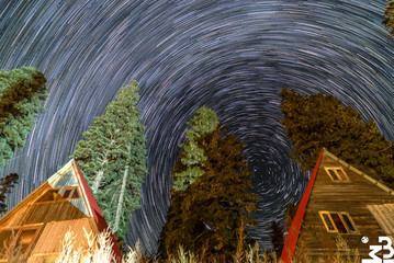 Star Trails over the trees and houses