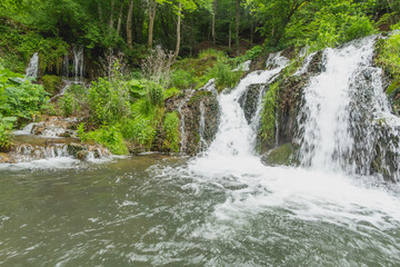 waterfall in forest