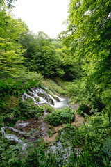 waterfall in deep forest