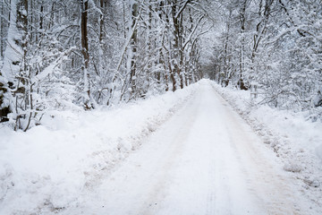 Weg durch den Wald im Winter