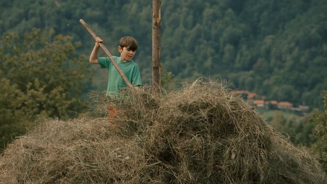 Little boy on top of a haystack arranging the dried hay