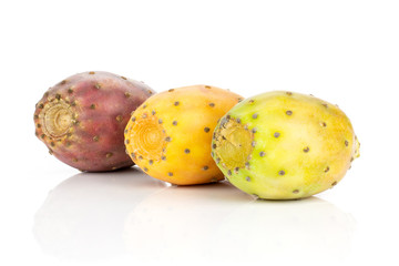 Group of three whole fresh bright prickly pear opuntia in row isolated on white background