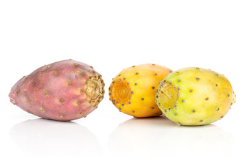 Group of three whole colorful fresh bright prickly pear opuntia isolated on white background