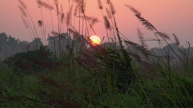 Pinky Orange Sky at Sunrise in the Morning in Chitwan National Park in Nepal