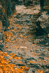 stone path with rocks