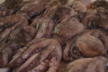 Raw squid being sold on traditional street fish market in Catania, Sicily