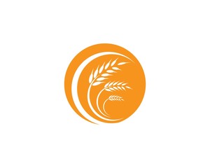 Fototapeta premium Wheat logo icon