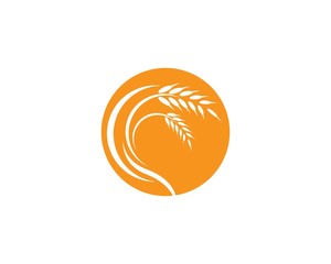Obraz premium Wheat logo icon