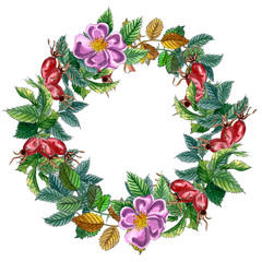 Watercolor wreath with branch of Dog rose, red berries and green leaves.